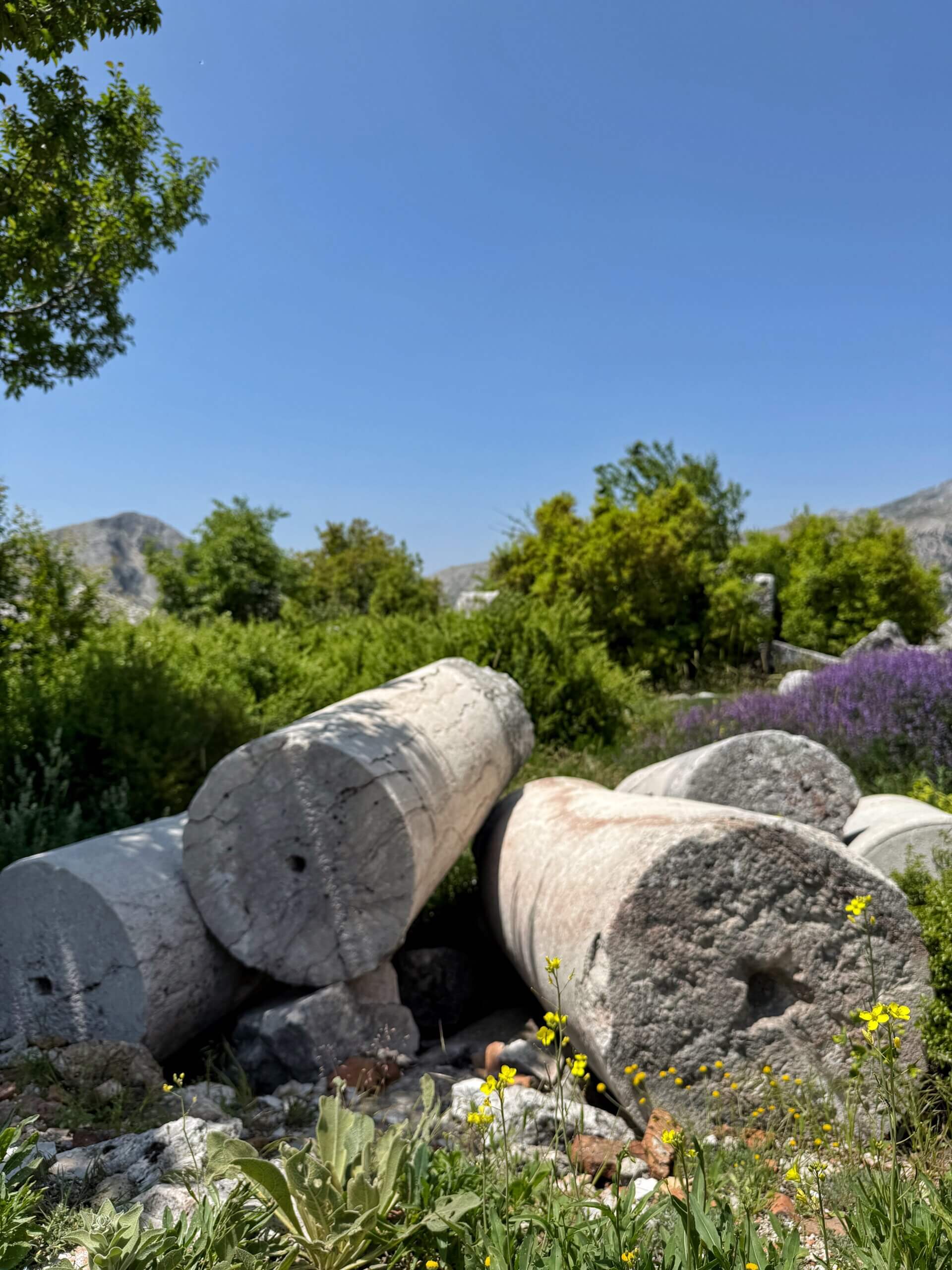 Säulenreste in Sagalassos