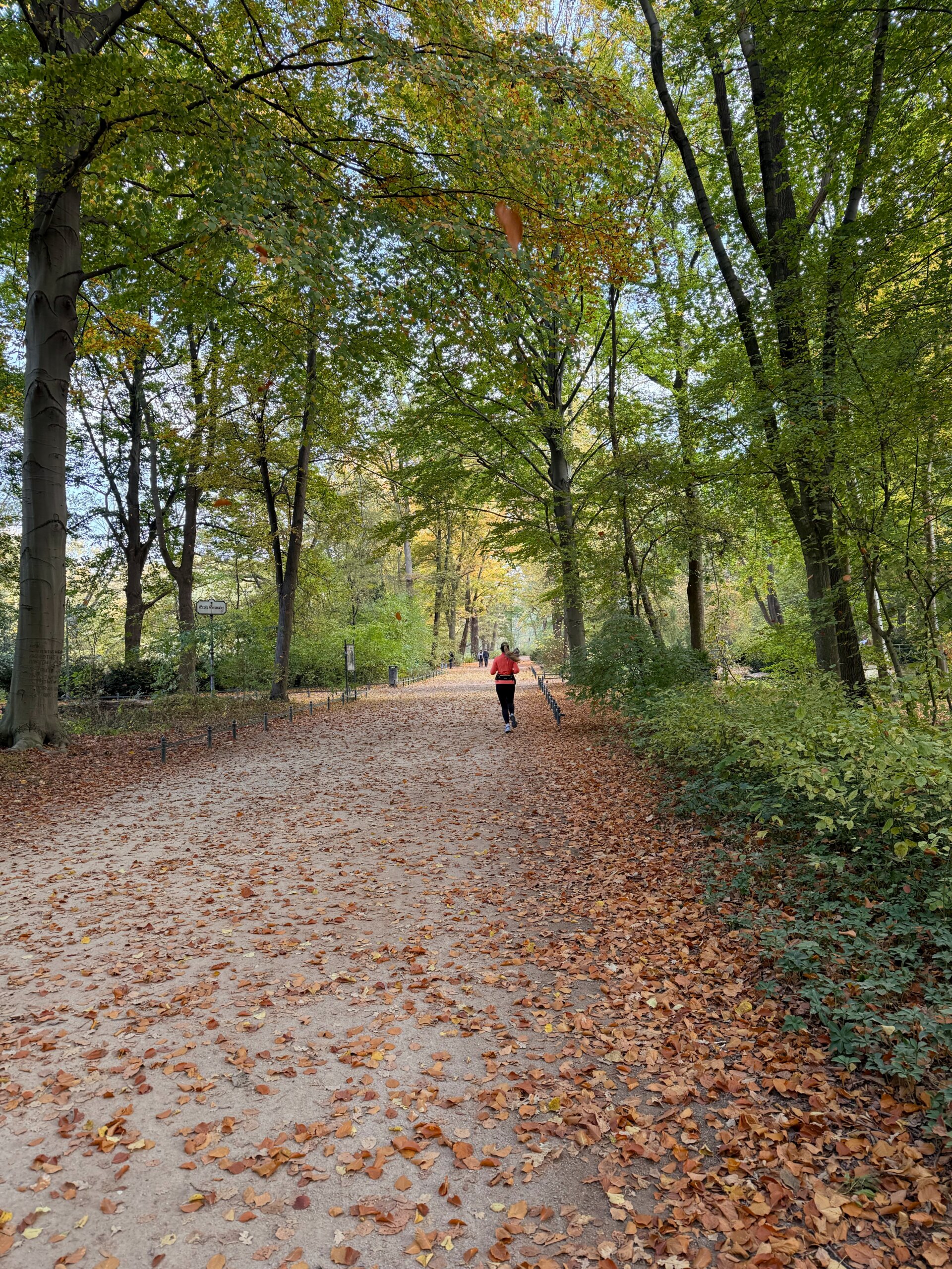 Tiergarten im Herbst