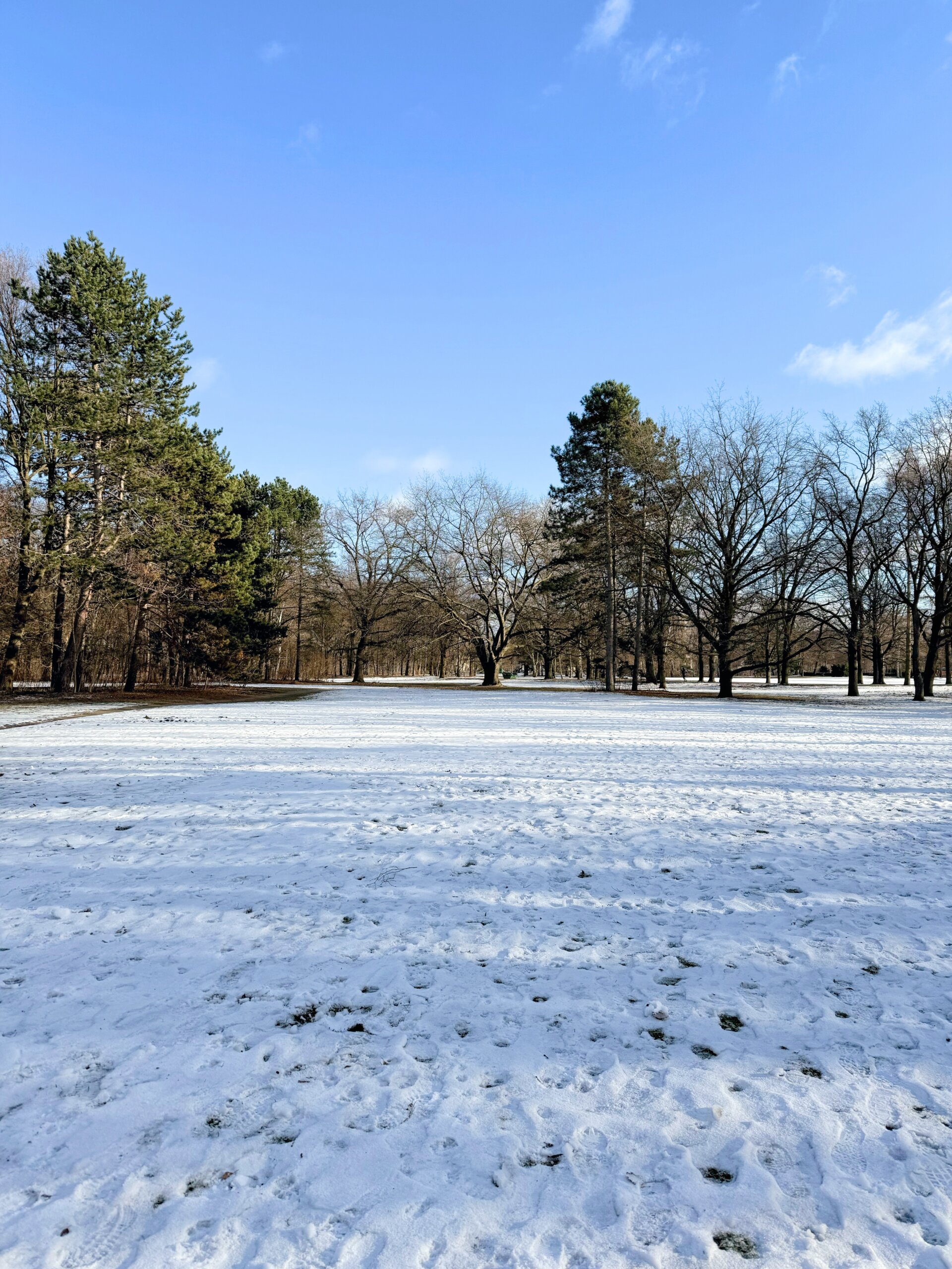 Tiergarten im Winter